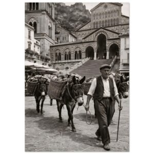 e1736955-8a29-40bc-b0f9-ad2eee62f557